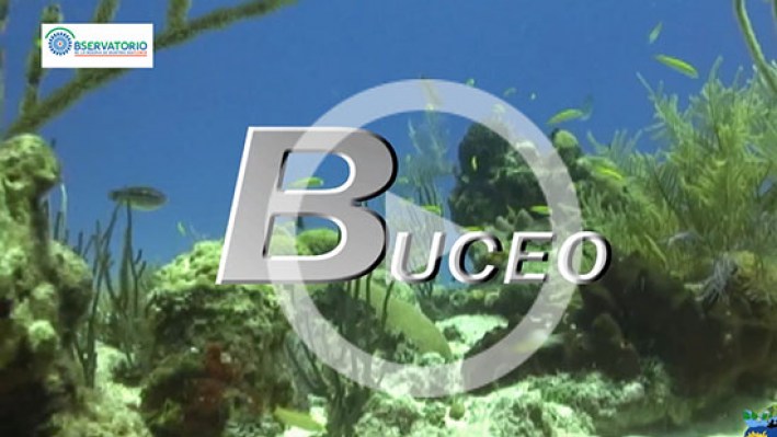 BUCEO SUB1
